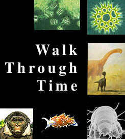 A Walk Through Time - Bibliography And Acknowledgements